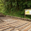 生態工法步道