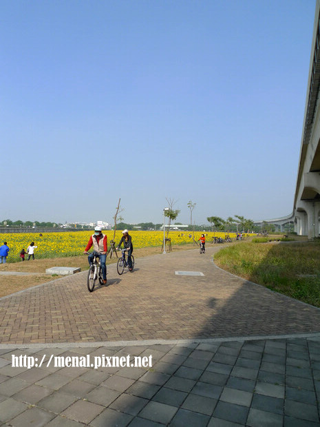 青埔站旁花海步道