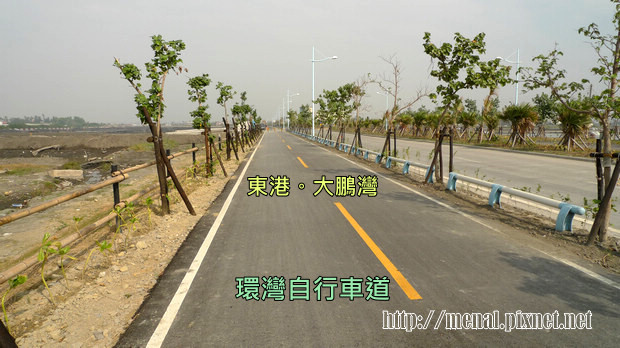 自行車道兩旁植黃槿