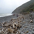 漂流木佔據古道上