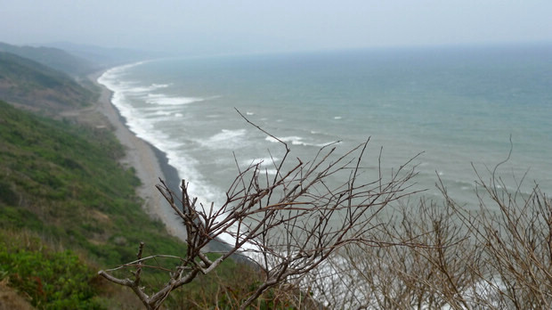 枯枝與海岸線