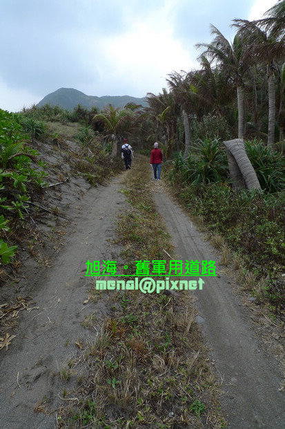 通往旭海道路