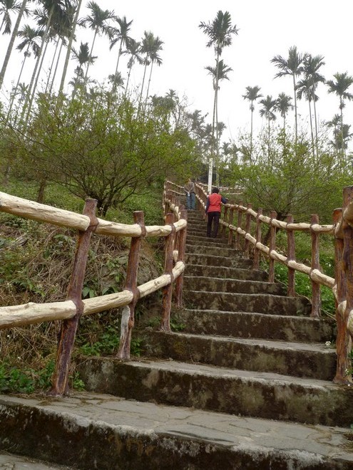 梅嶺登山步道