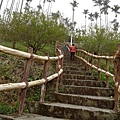 梅嶺登山步道