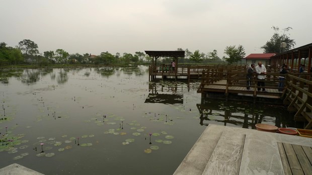 蓮城蓮花園