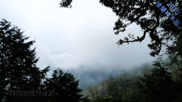 雲霧飄渺間