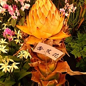 2011台灣國際蘭展-香蕉花