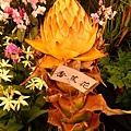 2011台灣國際蘭展-香蕉花