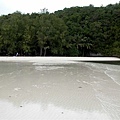 470.長灘島-帛琉