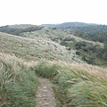 頂山步道