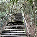 大崙頭山森林棧道