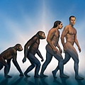 人類進化論