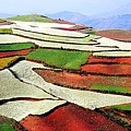 雲南東川紅土高原.jpg