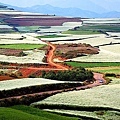 東川紅土高原-22.jpg