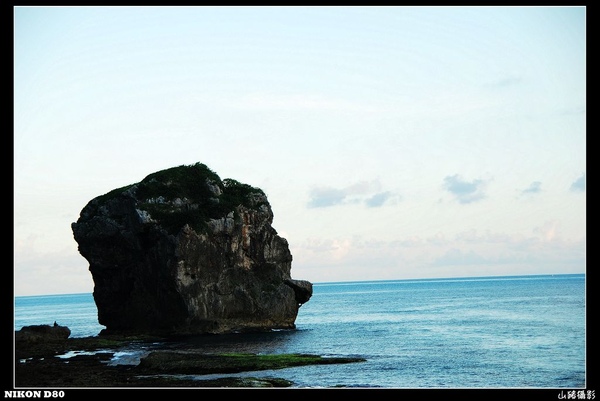 nEO_IMG_DSC_1894.jpg nEO_IMG_DSC_1894.jpg