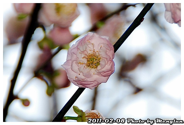 DSC_5328.JPG DSC_5328.JPG