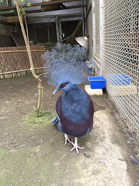 照片 005.jpg 照片 005.jpg