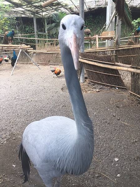 照片 008.jpg 照片 008.jpg