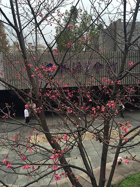 照片 021.jpg 照片 021.jpg