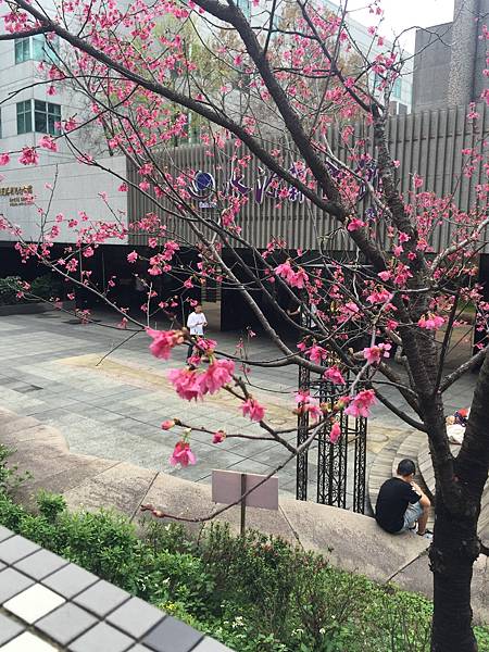 照片 026.jpg 照片 026.jpg