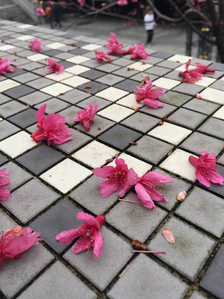 照片 027.jpg 照片 027.jpg