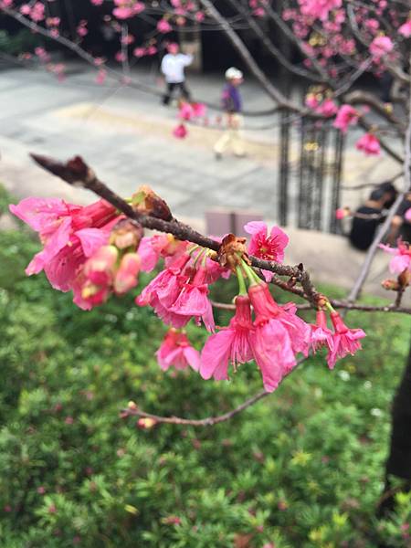 照片 030.jpg 照片 030.jpg