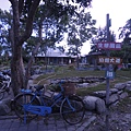 DSCN9789.JPG