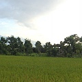 DSCN9795.JPG