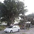 DSCN9799.JPG