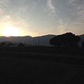 IMG_9286.JPG