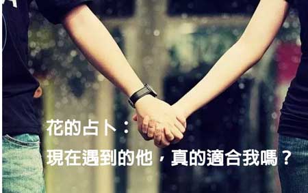 艾菲爾 花的占卜 現在遇到的他 真的適合我嗎 分享星 痞客邦