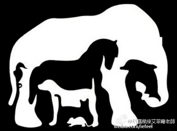 你最先看到哪种动物?测出你的天赋与脾气个性 你最先看到哪种动物?测出你的天赋与脾气个性