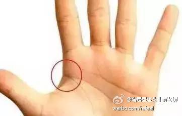財庫紋 財庫紋
