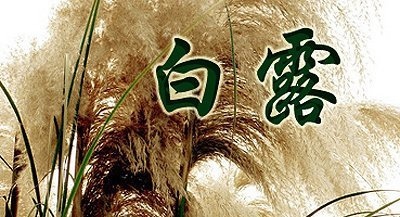 001t4e5nzy7dWhx3TC2ea&690