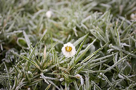 frost-1149002_1280