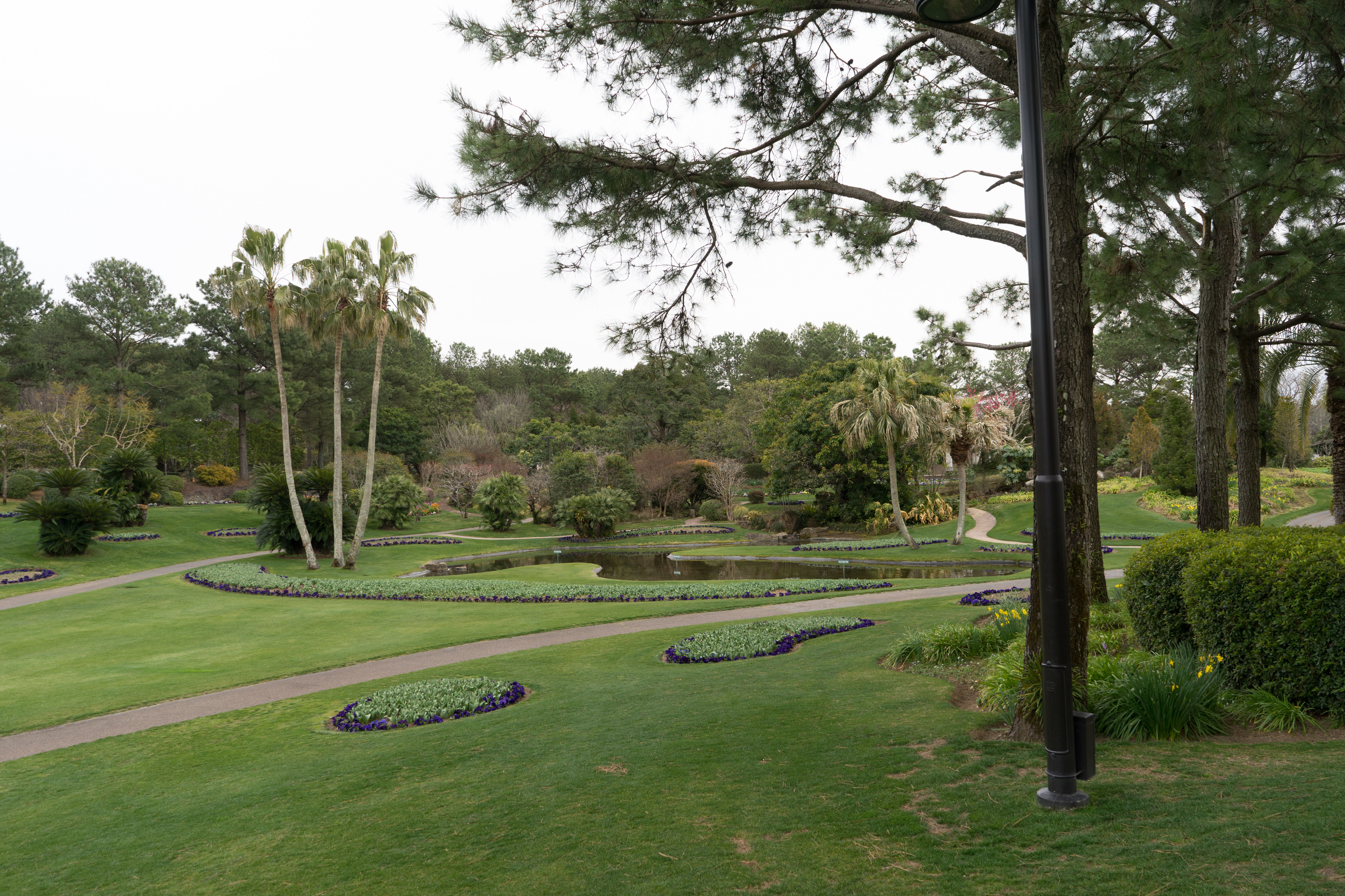 DSC04730.jpg DSC04730.jpg