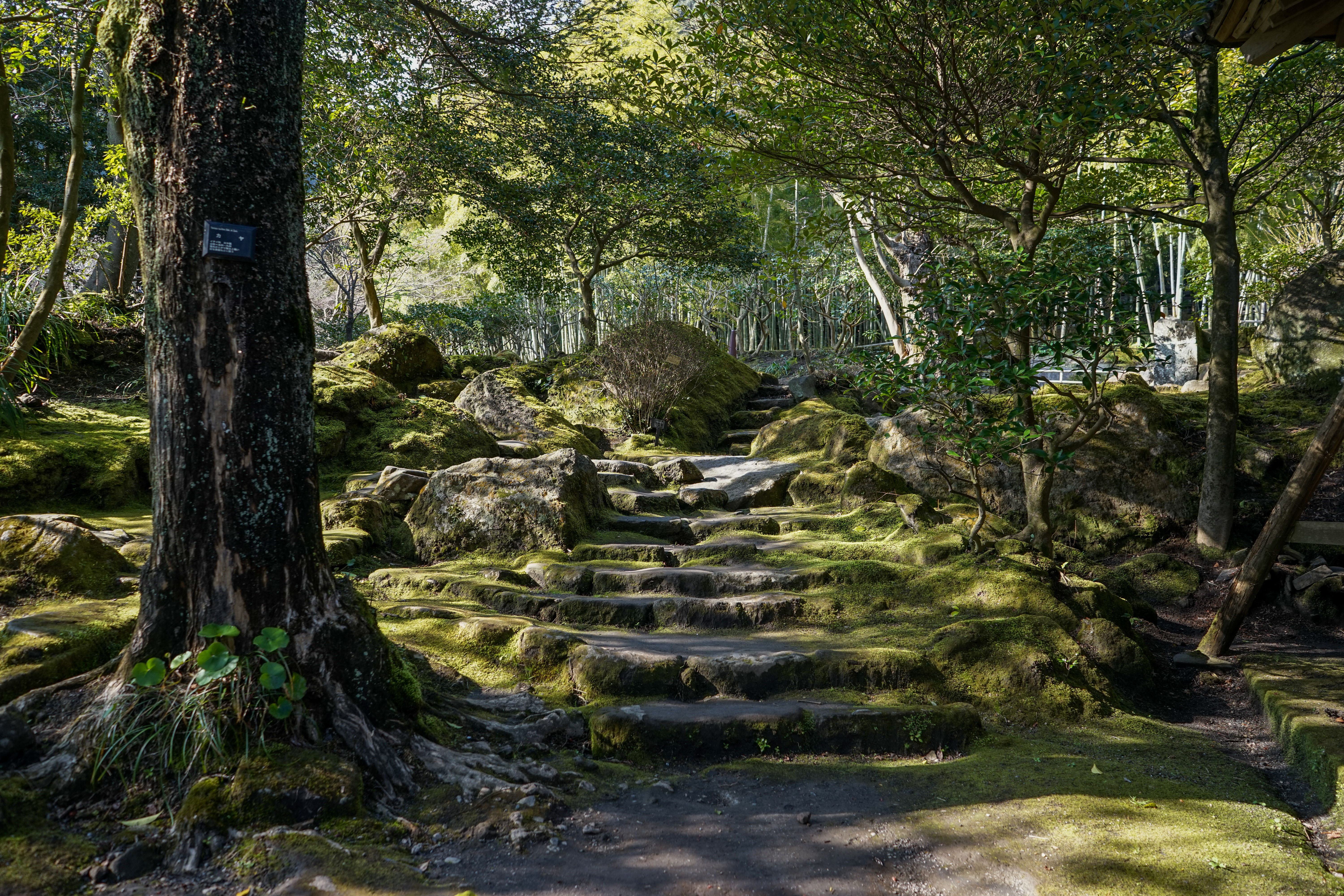 DSC04675.jpg DSC04675.jpg