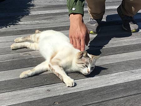 IMG_4973.JPG IMG_4973.JPG