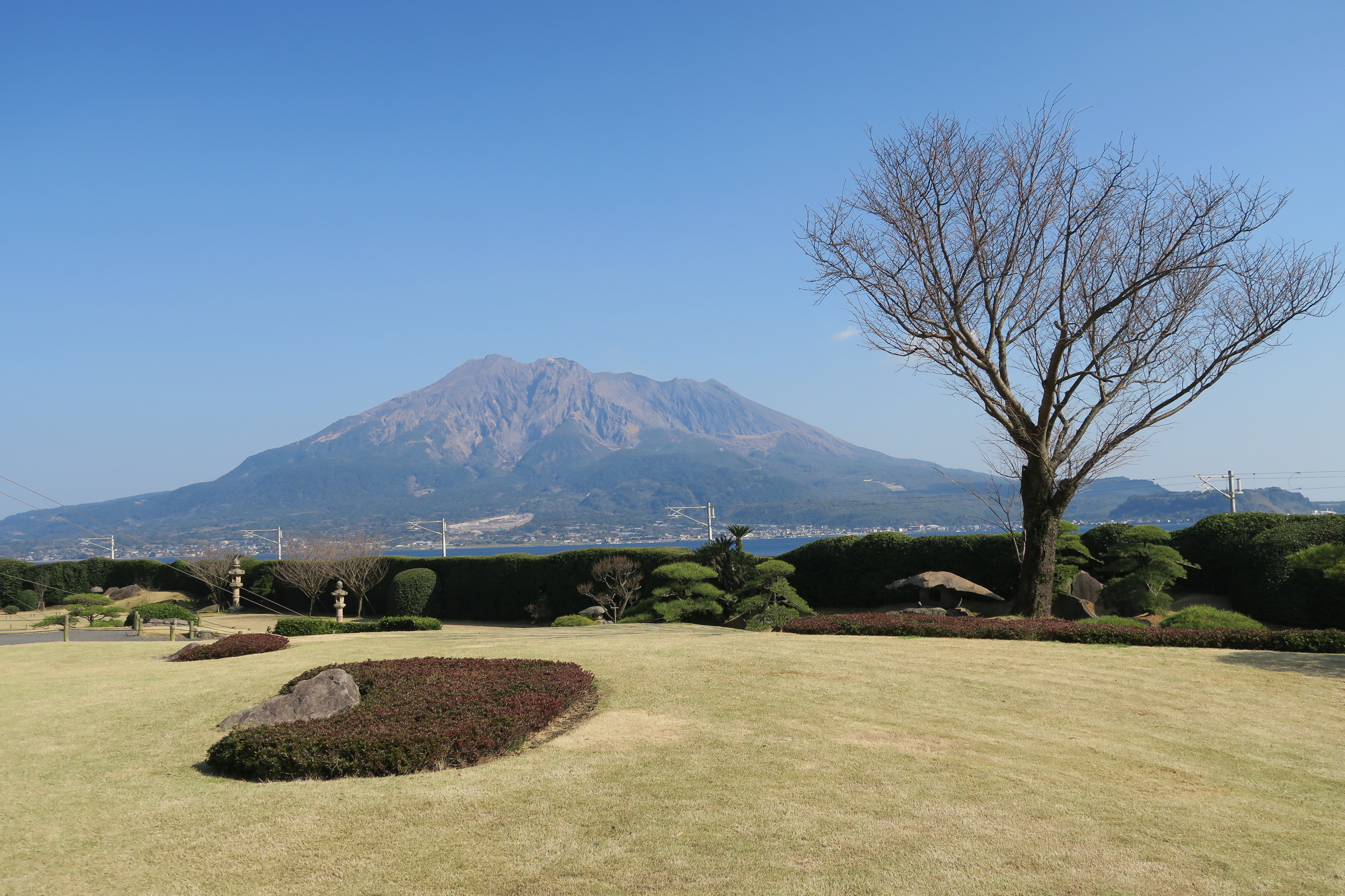 IMG_2899.JPG IMG_2899.JPG