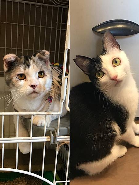 S__27131935.jpg S__27131935.jpg