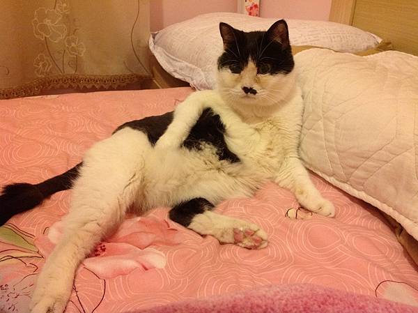 IMG_3155.JPG IMG_3155.JPG