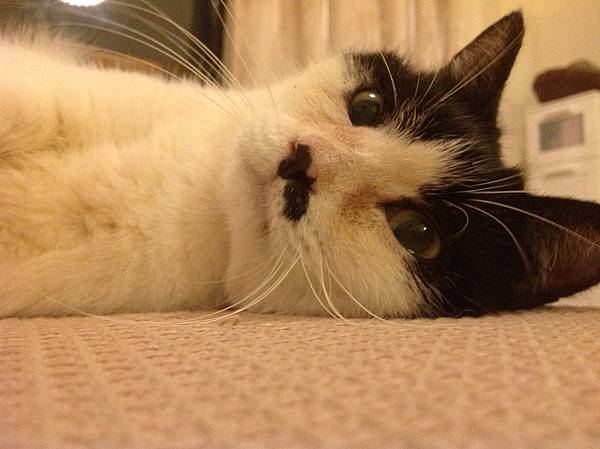 IMG_3283.JPG IMG_3283.JPG