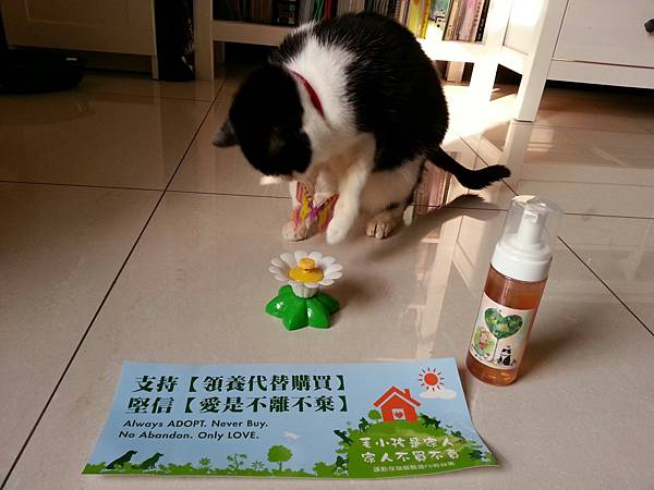 20140216_160753 (2).jpg