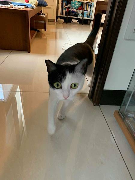 57195254_819544258419601_7157718317686325248_n_819544251752935.jpg 57195254_819544258419601_7157718317686325248_n_819544251752935.jpg