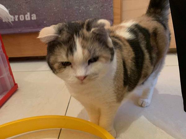 57471855_430352901112183_1254093651152207872_n_430352897778850.jpg 57471855_430352901112183_1254093651152207872_n_430352897778850.jpg