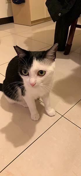 57155174_845645739118813_6983378706014142464_n_845645725785481.jpg 57155174_845645739118813_6983378706014142464_n_845645725785481.jpg