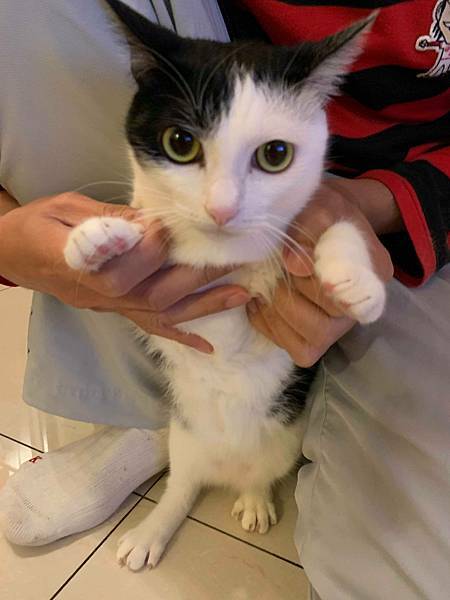 56506556_623529534781188_8365458740454883328_n_623529531447855.jpg 56506556_623529534781188_8365458740454883328_n_623529531447855.jpg