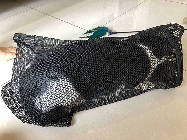 61086169_2191861830926407_8428529102541029376_n_2191861777593079.jpg 61086169_2191861830926407_8428529102541029376_n_2191861777593079.jpg