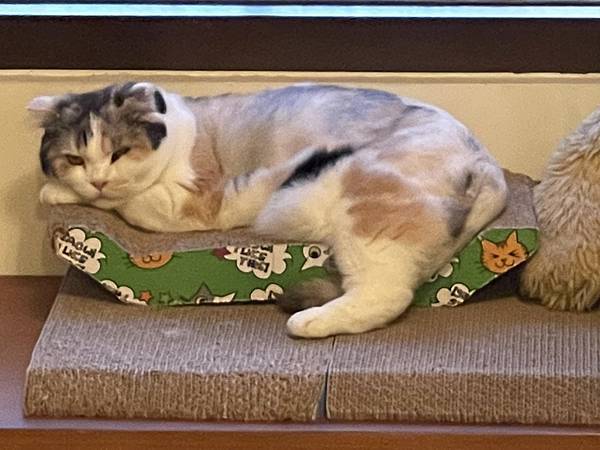 S__868394.jpg S__868394.jpg