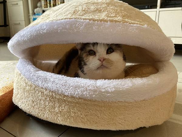 S__133685255.jpg S__133685255.jpg